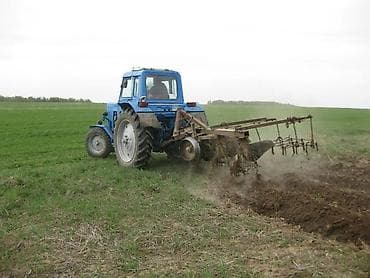 домик на колосах: Услуга трактор 
Мала соко — 4