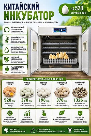 Инкубатор для птицеводства (китайский), автоматический Назначение: -