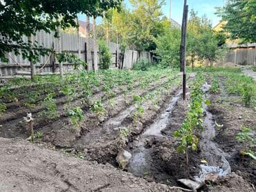 сокулук дом продажа: Дом, 95 м², 4 комнаты, Собственник, Старый ремонт — 23