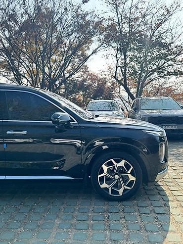 kia sporteig: Hyundai Palisade: 2020 г., Бензин, Кроссовер — 7