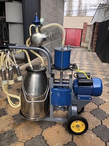 новый станок: Продаю китайский доильный аппарат в идеальном состоянии пользовались — 4