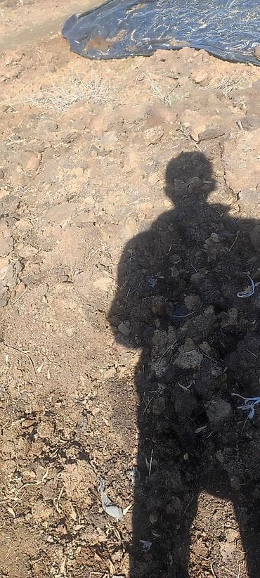 Торговое оборудование: Навос. Кык — 2