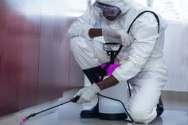 дезинфекция дома от клопов ош: Дезинфекция, дезинсекция, | Блохи, Вирусы, микробы, Клопы, | Квартиры, Транспорт, Дворы — 2