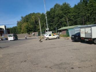 мастера по дереву: Повар Шаурмист. С опытом — 1