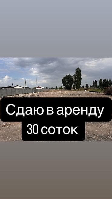 рынок мадина фото: 30 соток Для бизнеса, Электричество — 1