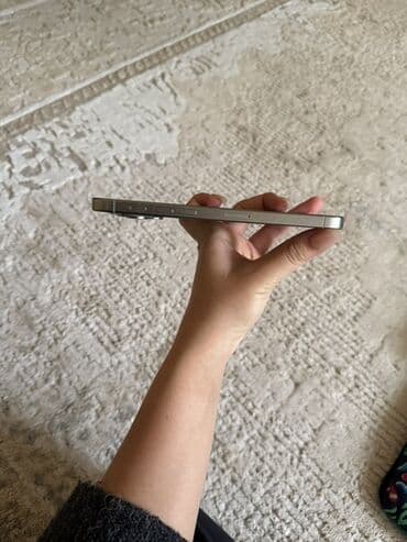 max: IPhone 15 Pro Max, Б/у, 512 ГБ, Серебристый, Чехол, 87 % — 3