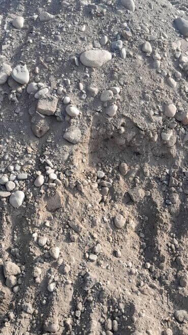 куплю часы: Отсев щебень смесь песок. : мытый отсев для стяжки бетонная смесь для — 5