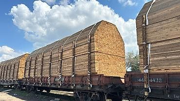 Опилки: Пиломатериалы Лес Бишкек - Натуральная древесина - Ровные, точные — 2