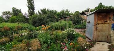 Үйдү ижарага алам: Үй, 70 кв. м, 5 бөлмө — 27