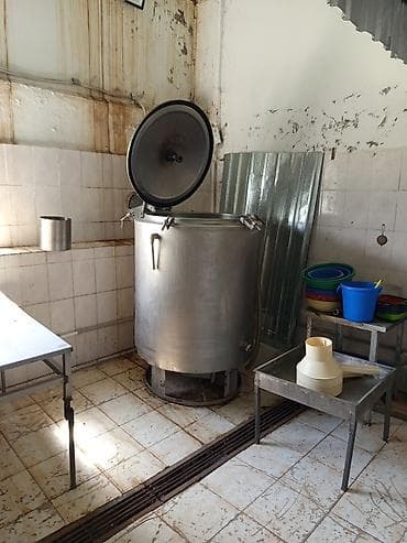 продаю дом заря: Завод по переработке и сушке молока для приема, хранения, переработки — 2
