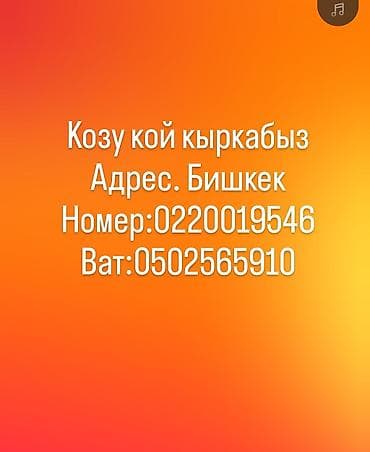 кыргыз корм: Локация:Бишкек. Баасы: келишим турундо — 1