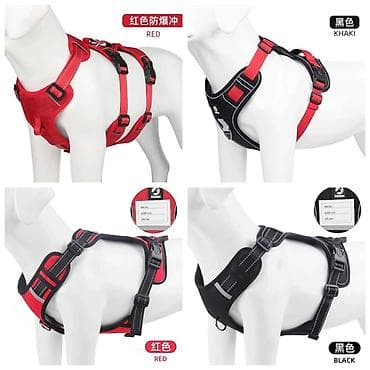 ковчег приют для животных бишкек: БОЛЬШОЙ ВЫБОР КОРМУШЕК ДЛЯ КОШЕК И СОБАК,А ТАК ЖЕ ЛЕЖАНОК,СУМОК — 9