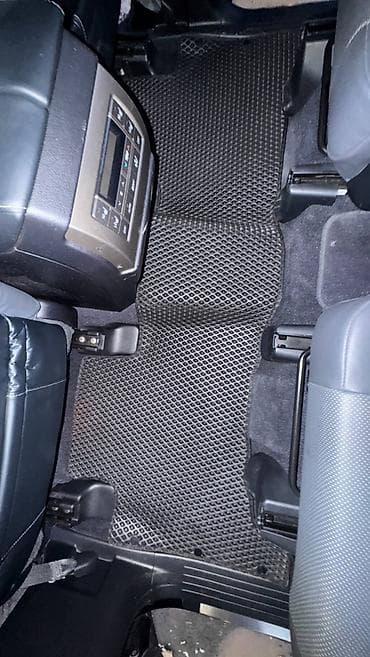 auris: Полики — 4