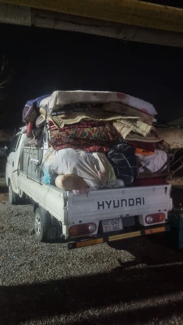 аквариум с рыбками цена бишкек: Заказать Хендай портер, C грузчиком — 3