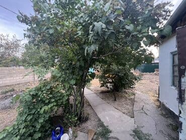 1 комнатные квартиры в бишкеке продажа: Дом, 70 м², 4 комнаты, Собственник, Старый ремонт — 11