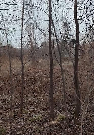 частный дом аренда: 18 соток, Для строительства, Договор купли-продажи — 4