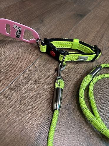 шиншил: Ошейник с поводком фирменный Panda для собак. Качество отличное — 9