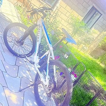 Велосипеды: Горный велосипед PHILIPS Bikes P2421 Продается горный велосипед — 4