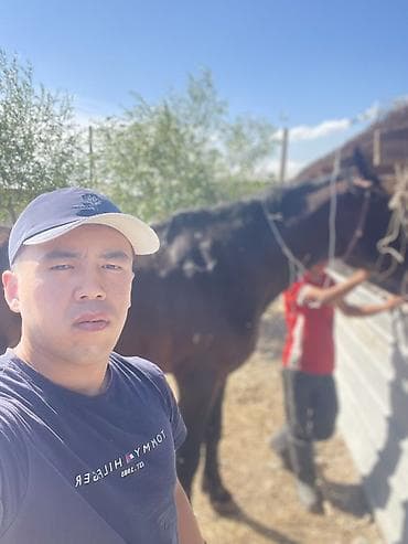 ветеринары: Ветеринардык врач …! Ветеринарный врач …! 🚑 Диагностика жана — 1