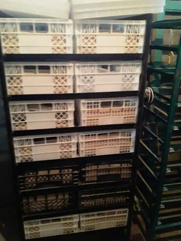 товары для животных: Товары и оборудование для с/х животных — 12