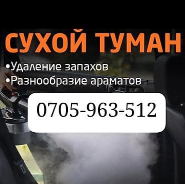 Профессиональная дезодорация салона методом сухого тумана — 1