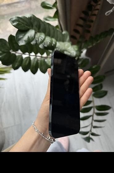 poco c51: IPhone 12 Pro Max, Pacific Blue — 5