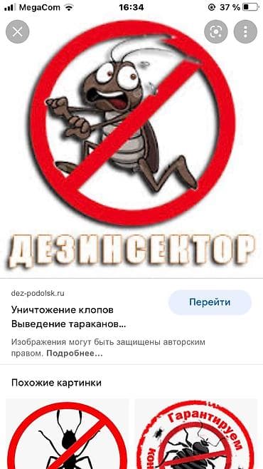 Клининговые услуги: Дезинфекция, дезинсекция, | Клопы, Блохи, Тараканы, | Транспорт, Офисы, Квартиры — 8