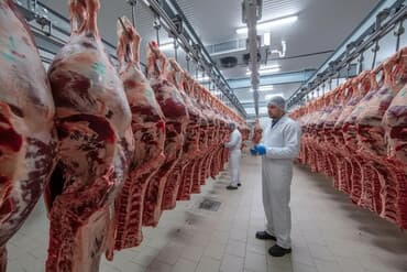 Детские сады, няни: Мясокомбинат оказывает услуги: · Халяльный забой коров, лошадей и — 1