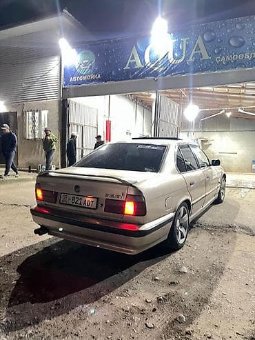 другие марки: BMW 5 series: 1994 г., 2.5 л, Бензин, Седан — 6