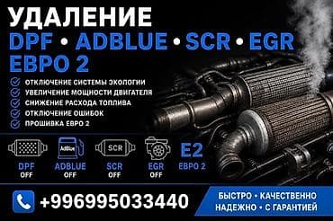 база данных: Профессиональное отключение и удаление систем экологии для дизельных — 1