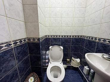 115: 2 комнаты, 77 м², Золотой квадрат Индивидуалка, 1 этаж, Евроремонт — 9