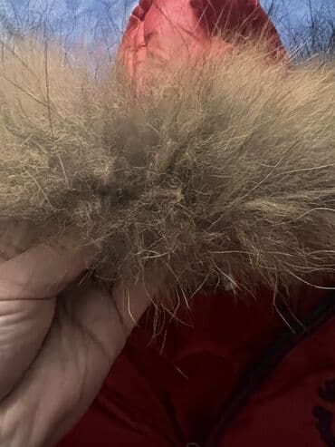 национальное платье для девочек: Комбинезон Roberto Cavalli, размер M. С рождения до 12 месяцев, до — 6