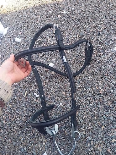 цена собаки шпиц: Кавессон для лошади, кожаный, с металлическими кольцами,10 штук в — 1