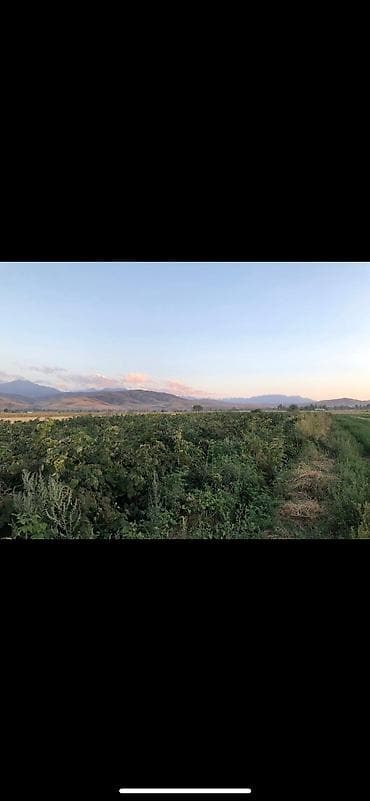 участок вдоль реки: 100 соток, Для сельского хозяйства, Красная книга — 2