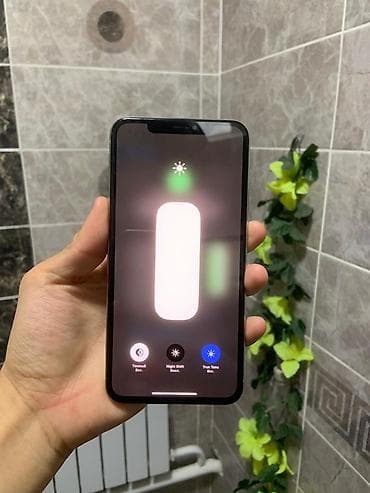 face id: IPhone Xs Max, Б/у, 64 ГБ, Серебристый, Зарядное устройство, Чехол, 78 % — 7