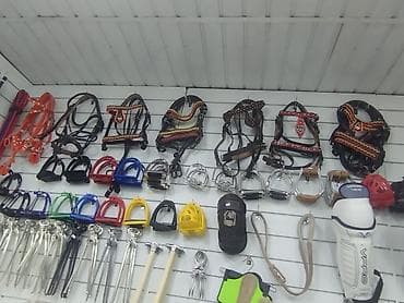 цельнометаллический: Кузнечный инструмент для ухода за копытами лошадей - Профессиональные — 4