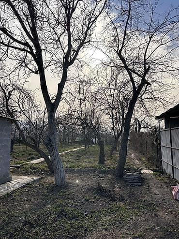карагечева роща: 5 соток, Для бизнеса, Красная книга, Тех паспорт, Договор купли-продажи — 2