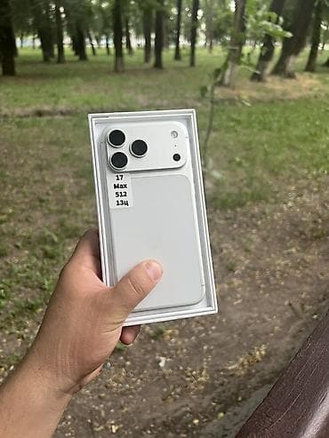 IPhone 17 Pro Max, 512 ГБ, Серебристый, Коробка