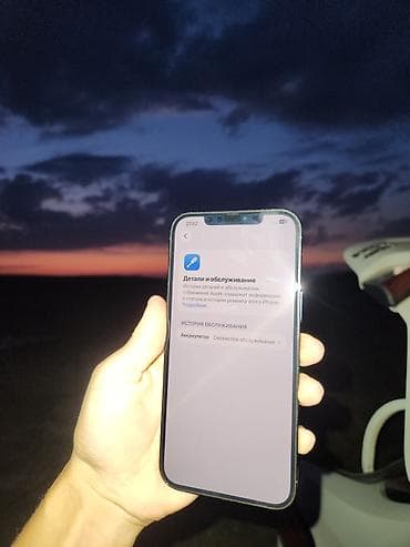 iphone 13 pro mac: IPhone 12 Pro Max, Б/у, 256 ГБ, Pacific Blue, Защитное стекло, Чехол, Кабель, 76 % — 4