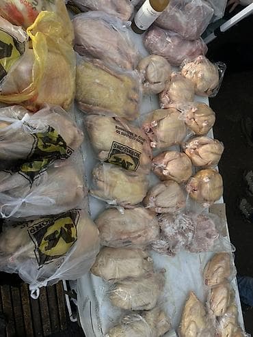 курици: Домашняя птица индук индейка — тушки и части - Целые тушки курицы — 2