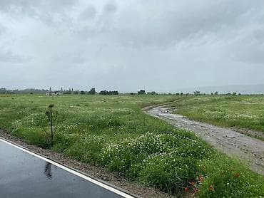 клубный дом: 72 соток — 5