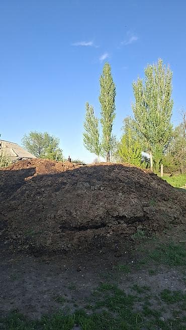 утеря находки: Отдам даром.Адрес:Село Ак-Жол,улица абдыкайым18 — 1