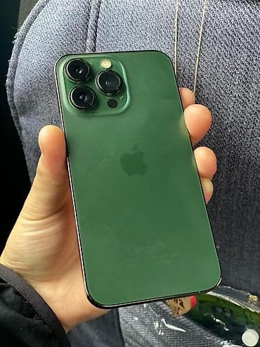 IPhone 13 Pro, Новый, 128 ГБ, Alpine Green, Защитное стекло, Чехол, Кабель, 79 %