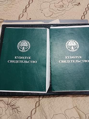 гул картинка: Куболук — свидетельства (зелёные папки с гербом Кыргызской — 1