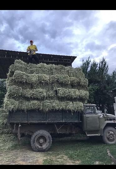 Грузовой автомобиль ЗиЛ с самосвальным кузовом - Тип at lalafo.kg Грузовой автомобиль ЗиЛ с самосвальным кузовом - Тип