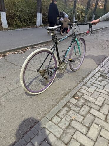 сколько стоят велосипеды в бишкеке: Горный велосипед, Galaxy, Рама M (156 - 178 см), Алюминий — 8