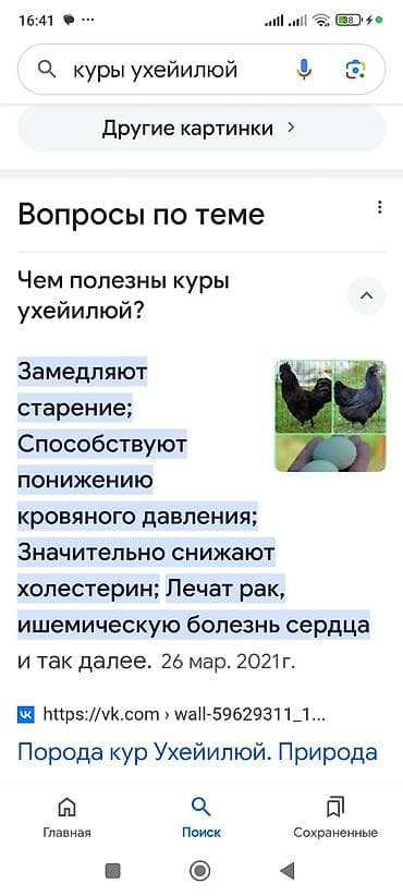 шпиц собака цена бишкек: Продаю | Куры | Для разведения — 2
