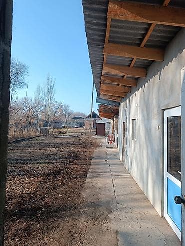 продаю дом с новопавловка: Продаётся дом с участоком с хозяйственными постройками - Капитальный — 4