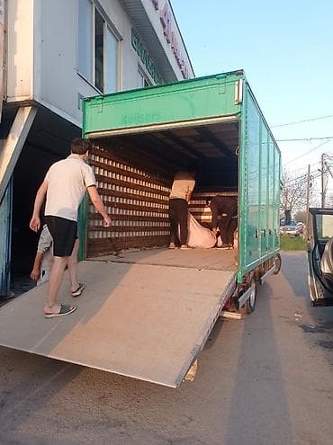 nihao logistics: Грузоперевозки — быстро, надёжно, выгодно Что делаем: - Квартирные и — 4