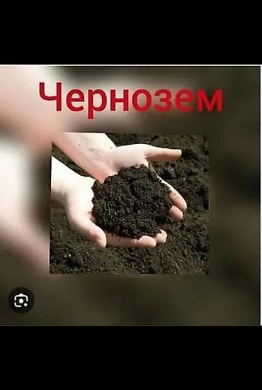 пл: В тоннах, Бесплатная доставка, Зил — 1